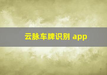 云脉车牌识别 app